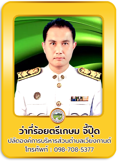 ปลัด